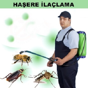 Adalar Böcek İlaçlama